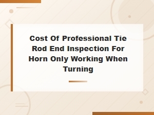 Cost of Professional Tie Rod End Inspection for Horn Only Working When Turning